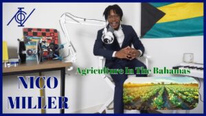 Read more about the article How to Fix Agriculture in The Bahamas